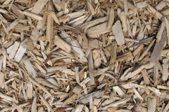 biomass boilers Tynron